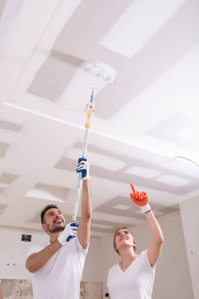 Reliable Woodall, OK Mold Removal Solutions