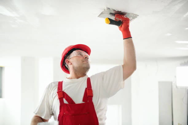 Best Mold Prevention Services  in Woodall, OK