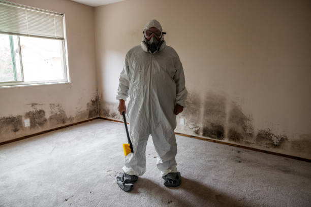 Best Forensic Mold Investigation  in Woodall, OK